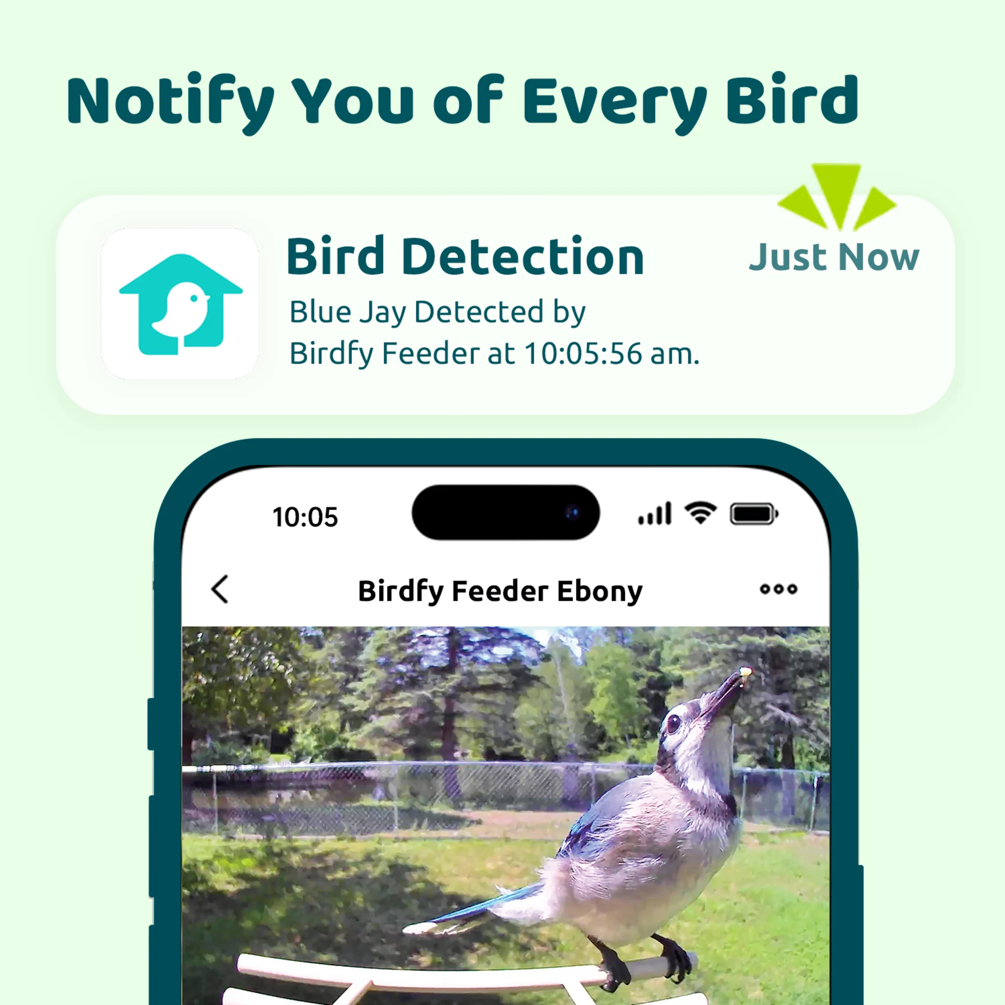 Birdfy Ebony Feeder Lite - with Camera and Solar Panel - Image 3