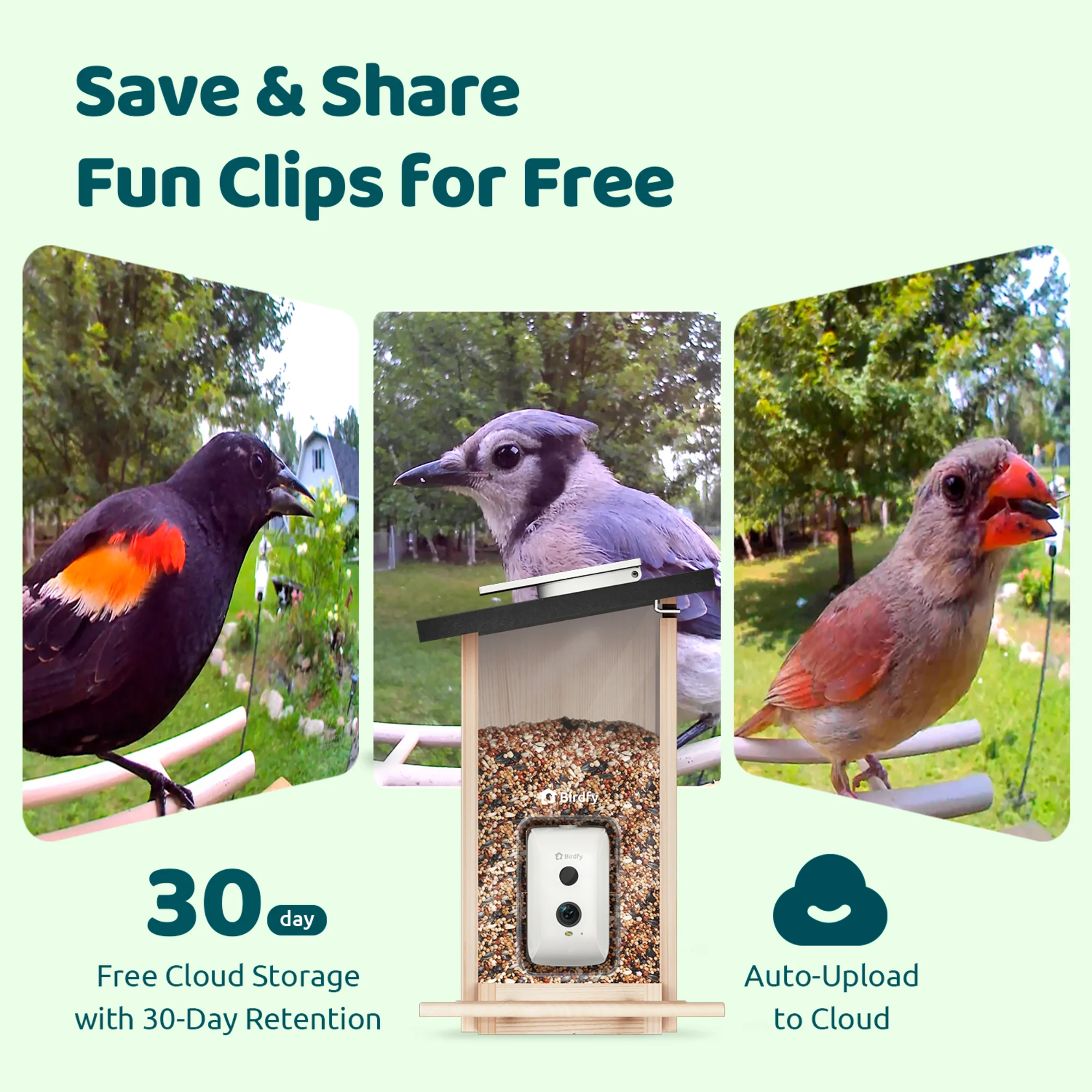 Birdfy Ebony Feeder Lite - with Camera and Solar Panel - Image 4