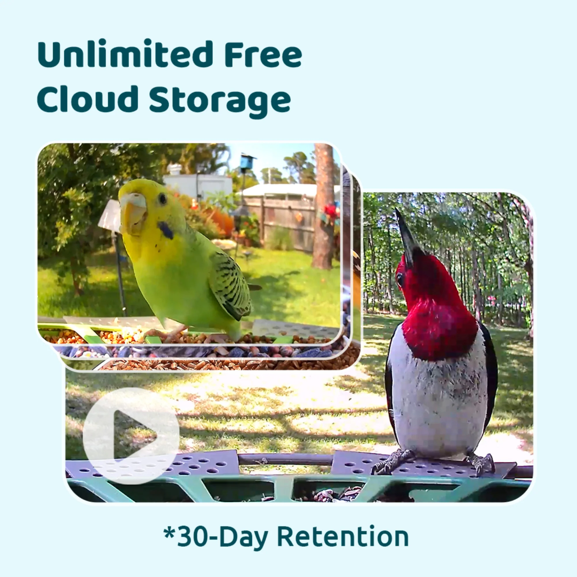 Birdfy feeder 2 Pro AI with Solar - Image 5