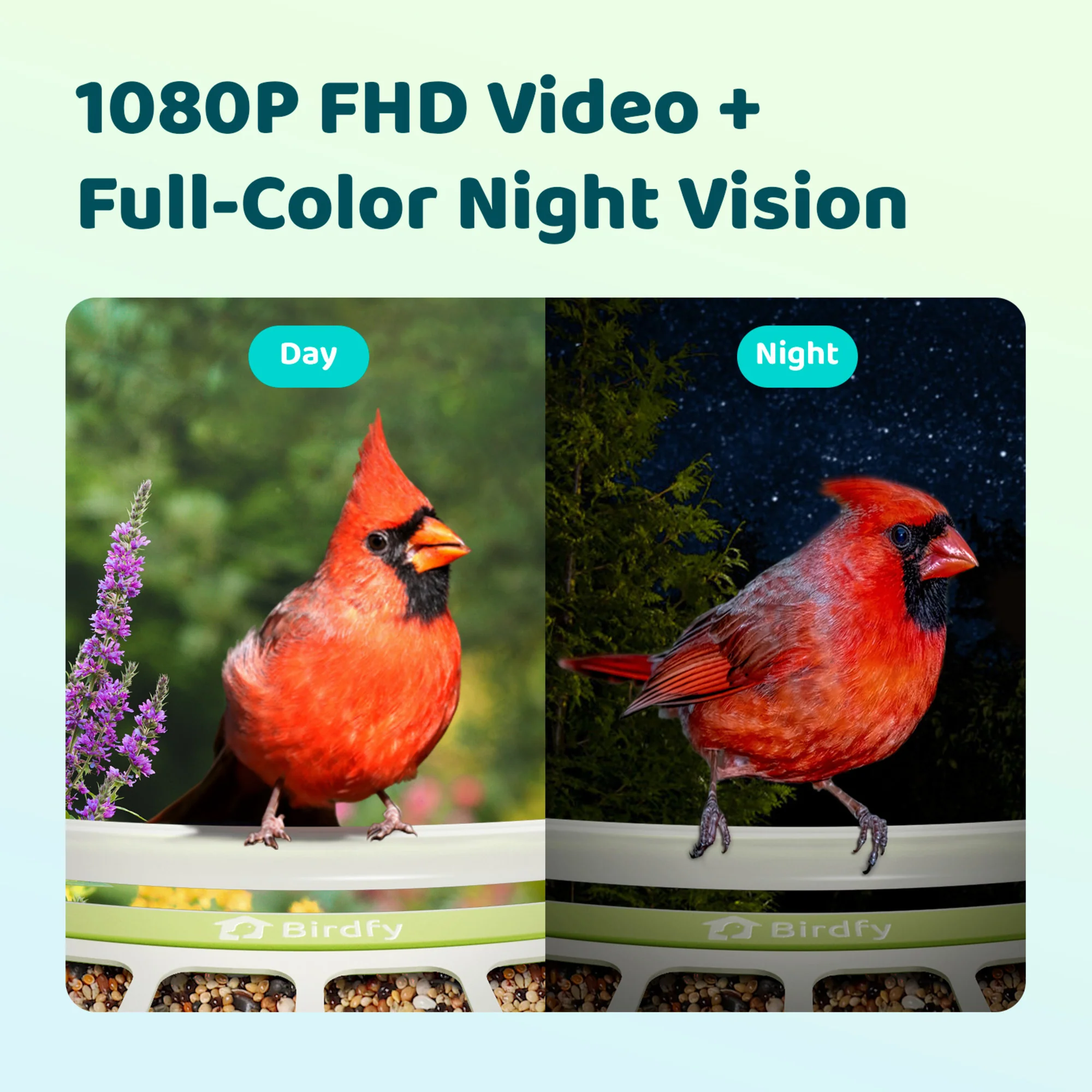 Birdfy feeder metal with AI - Image 3