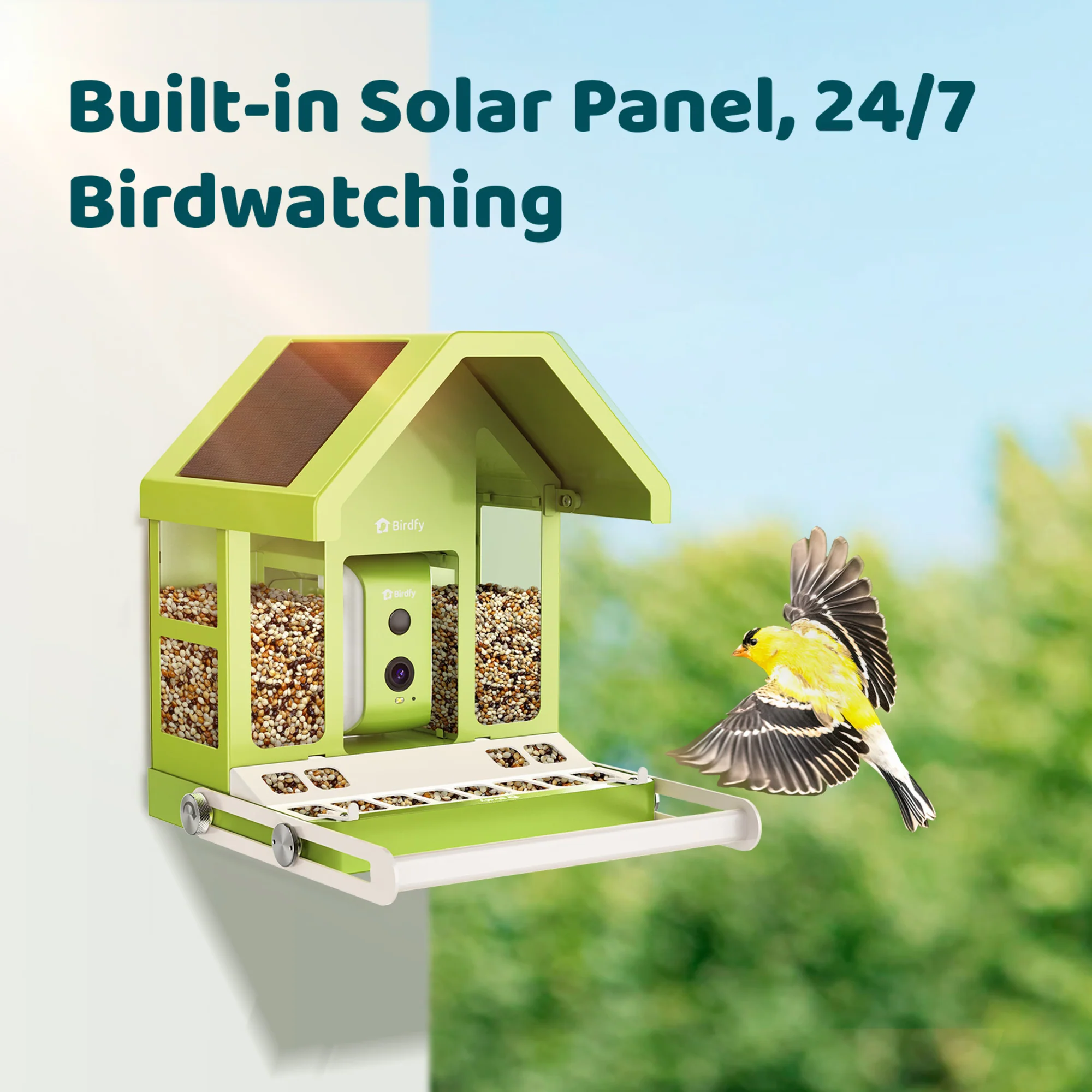 Birdfy feeder metal with AI - Image 7