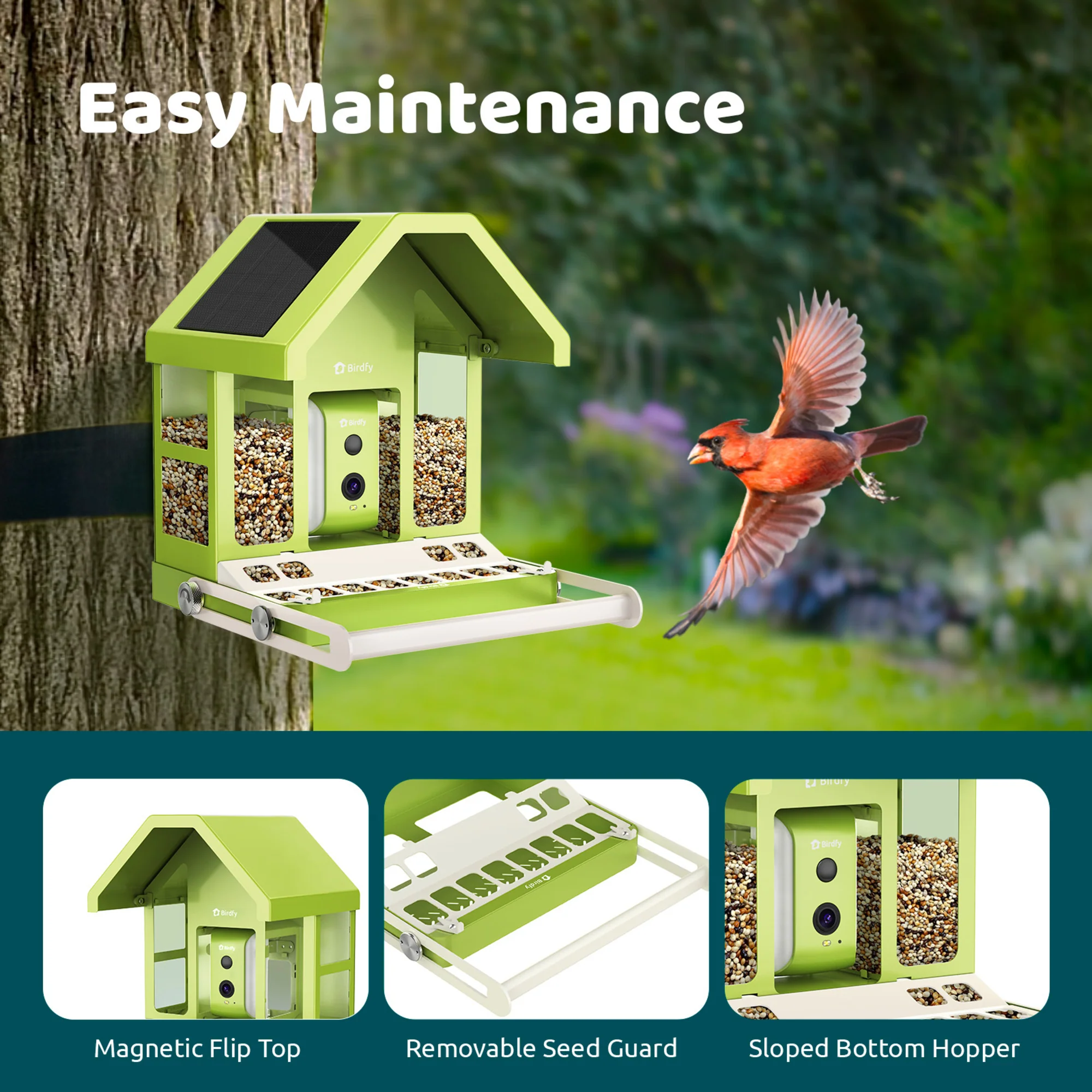 Birdfy feeder metal with AI - Image 9