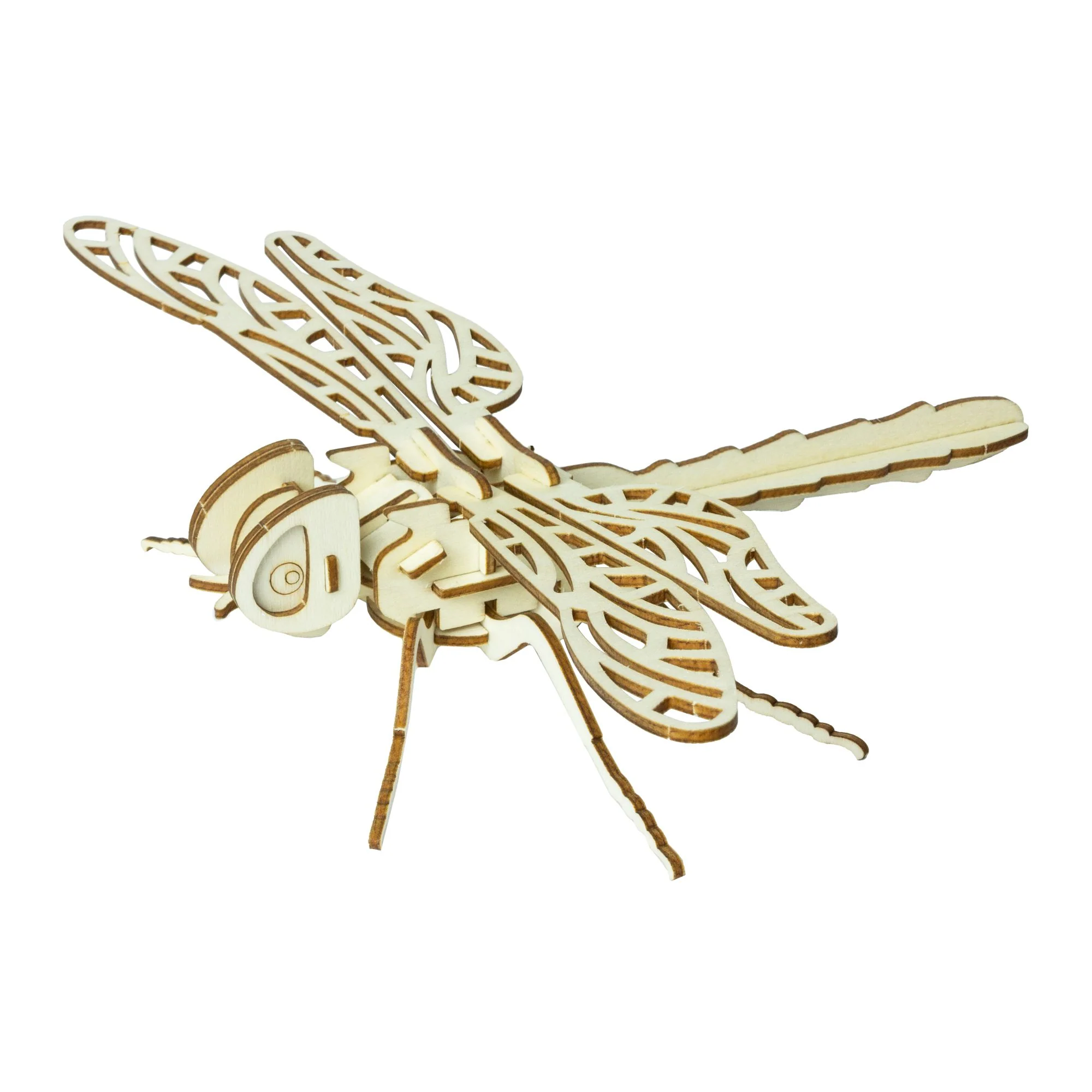 Build a bug kit - Image 3