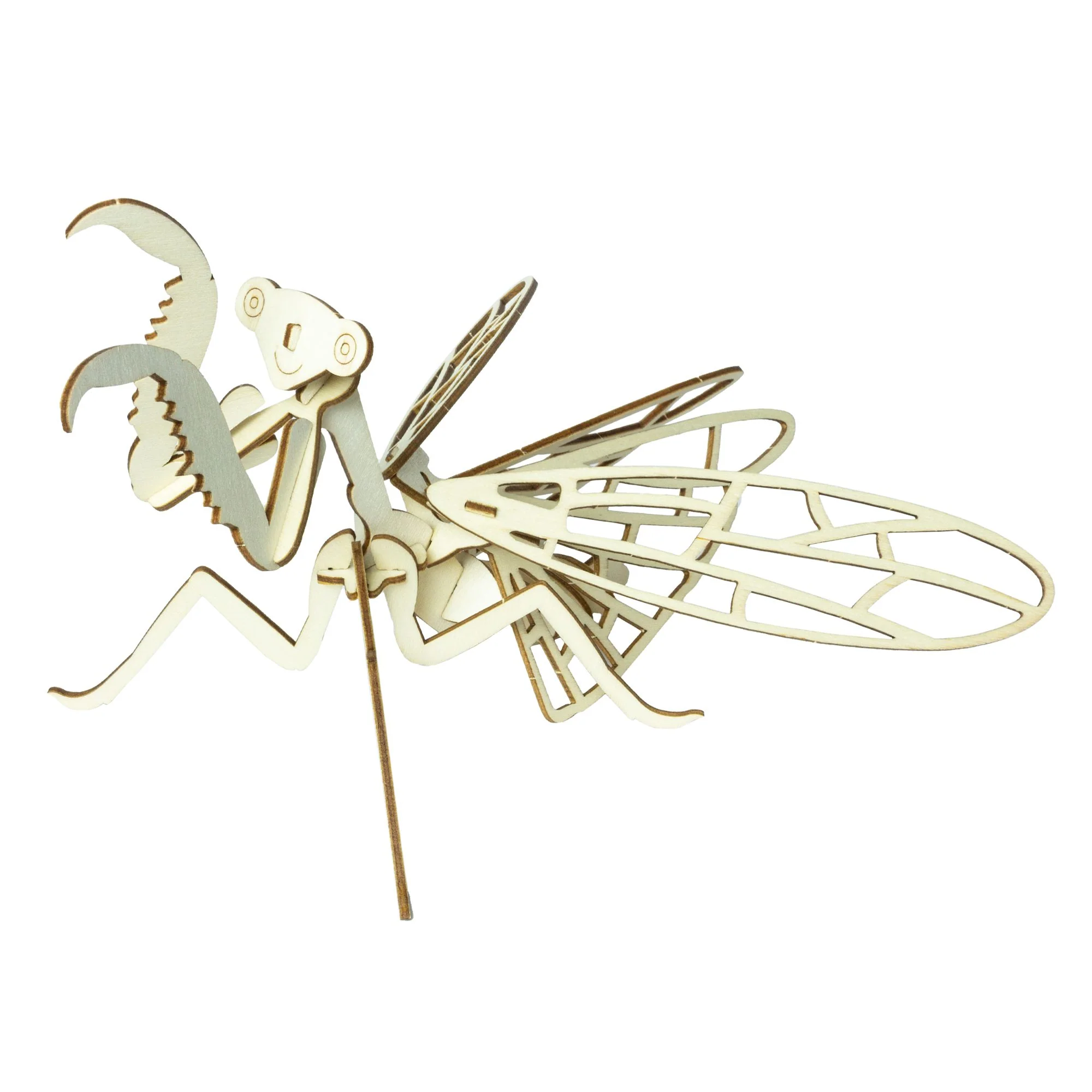 Build a bug kit - Image 6