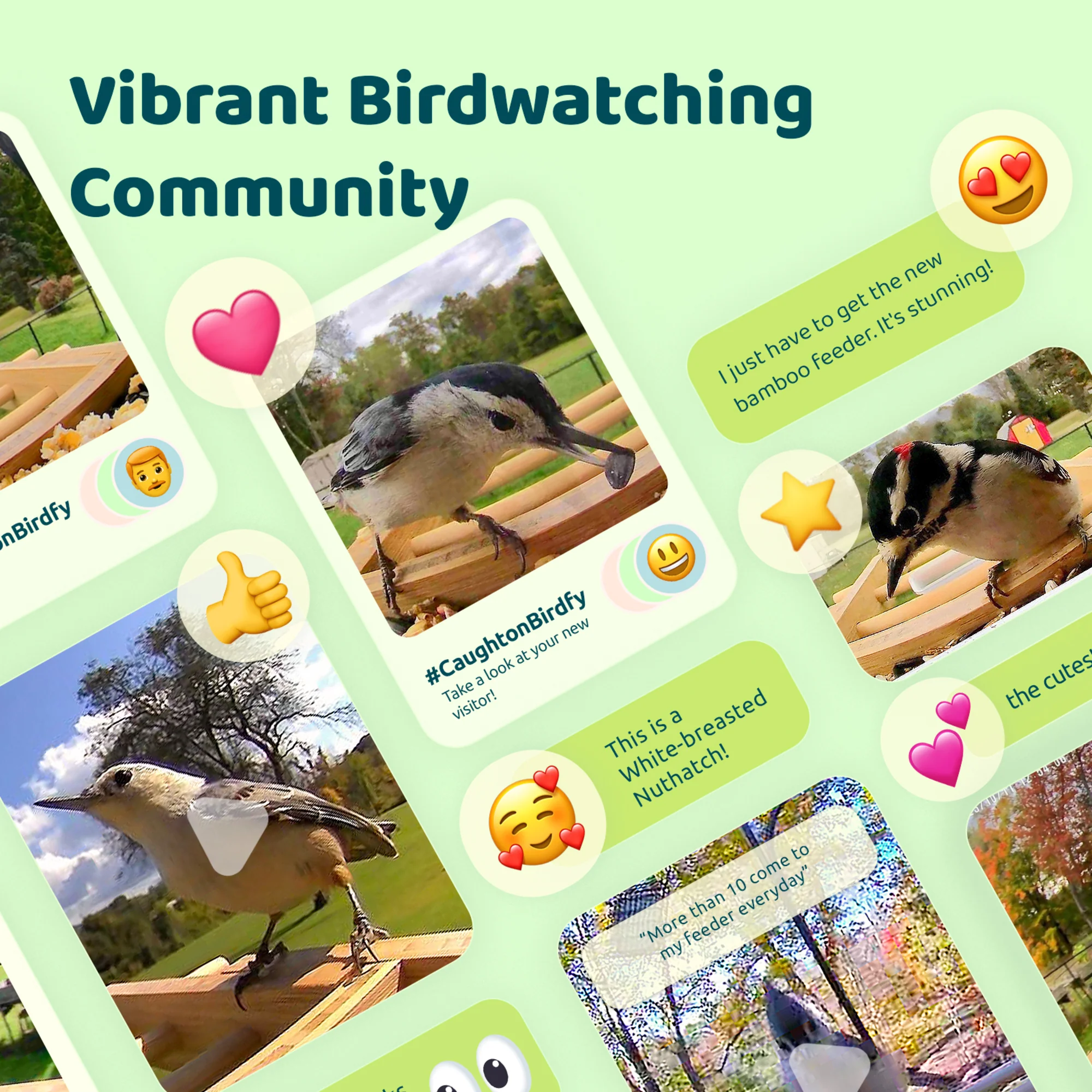 Birdfy bamboo feeder camera with solar - Feed, watch and record birds - Image 7