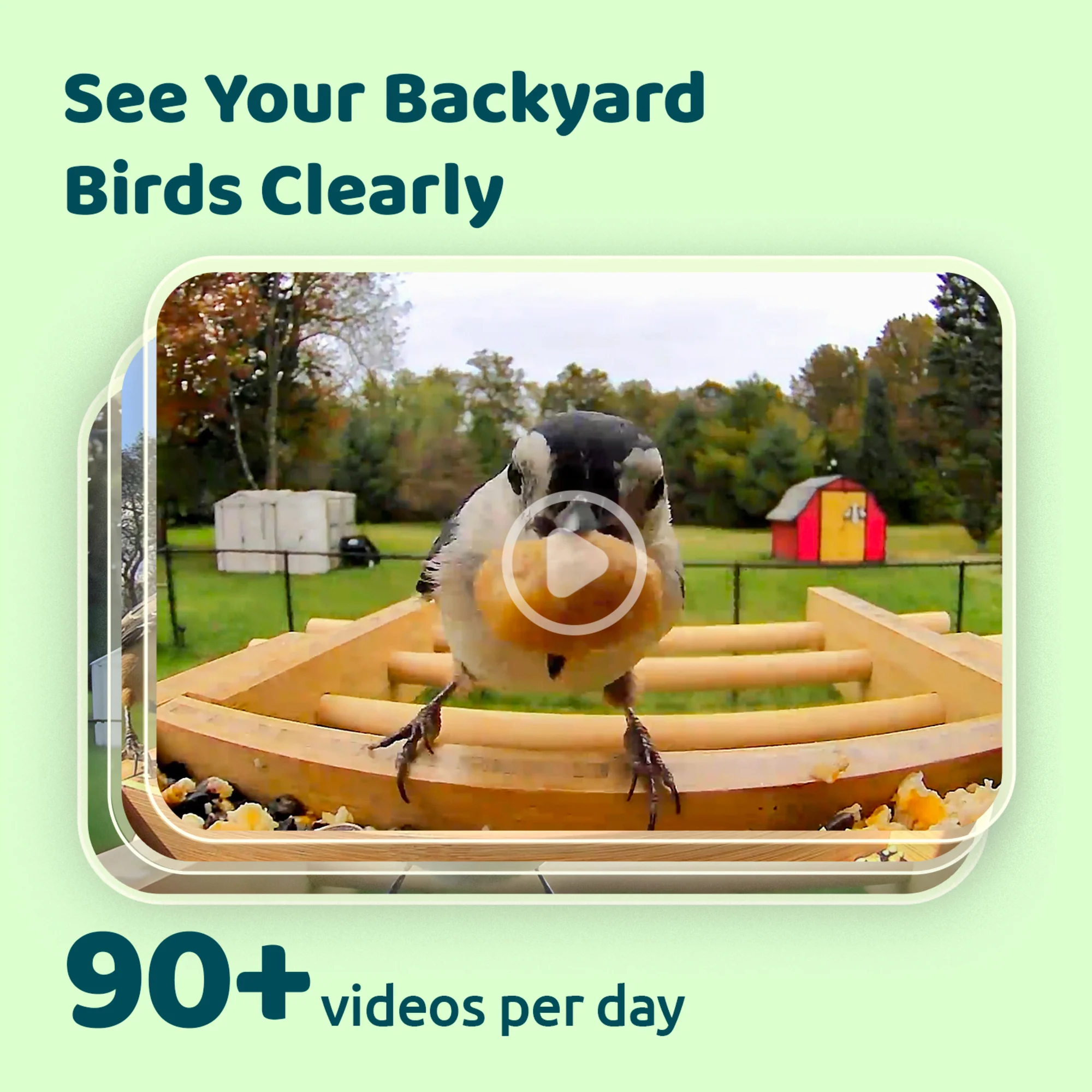 Birdfy bamboo feeder camera with solar - Feed, watch and record birds - Image 8