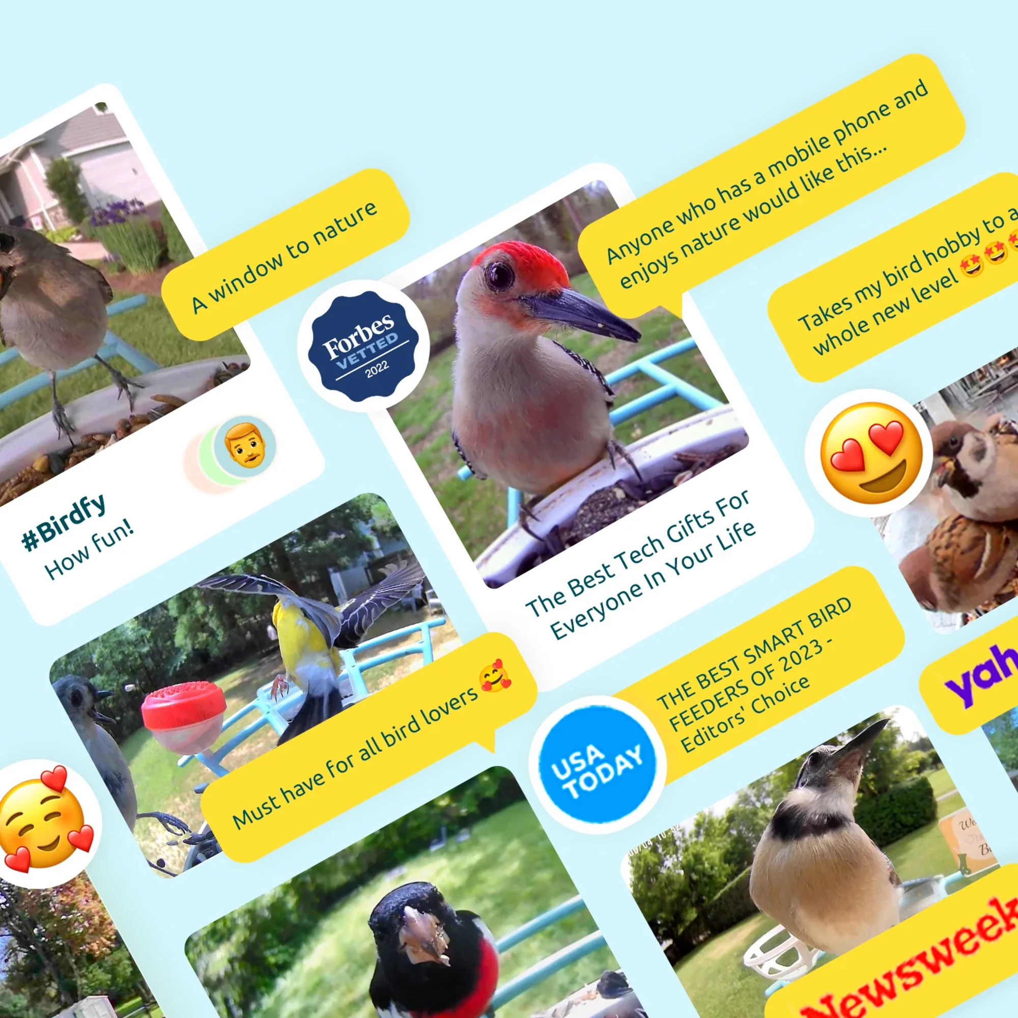 Birdfy feeder AI Lifetime with solar - Feed, watch and record birds - Image 6